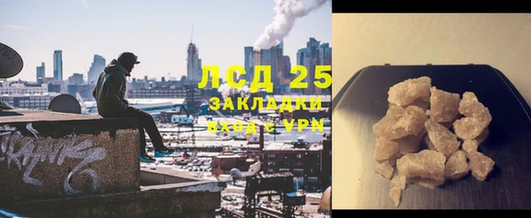 стаф Каменногорск
