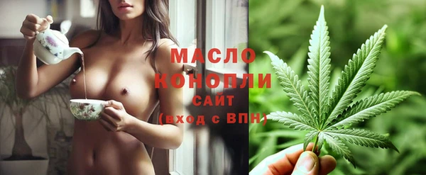 стаф Каменногорск
