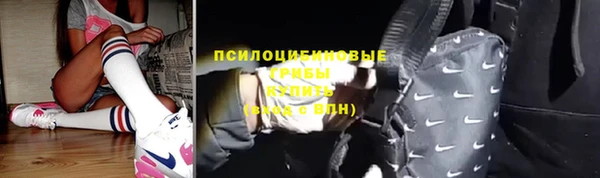 ECSTASY Каменка