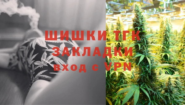 стаф Каменногорск
