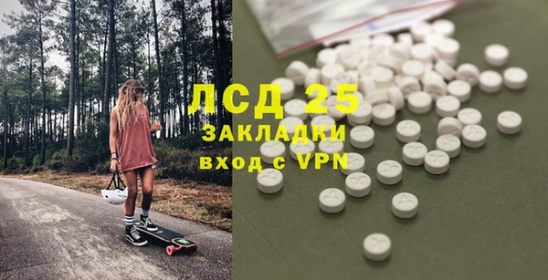 ECSTASY Каменка