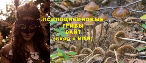 ECSTASY Каменка