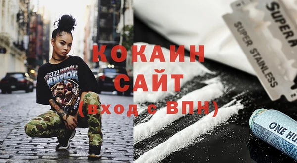 стаф Каменногорск
