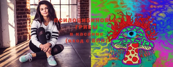 стаф Каменногорск