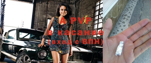 ECSTASY Каменка