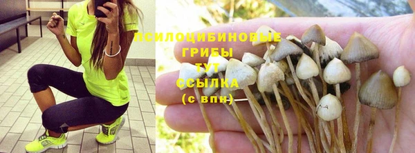 мет Карпинск