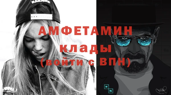 стаф Каменногорск