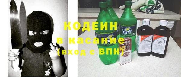 ECSTASY Каменка