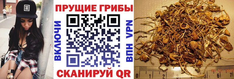 Галлюциногенные грибы Psilocybine cubensis  Мантурово 